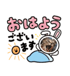 ハッシーの猫ちゃん( ΦωΦ )（個別スタンプ：12）