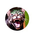 猫の勉強しろスタンプ（個別スタンプ：4）