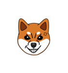 豆しば 柴犬（個別スタンプ：5）