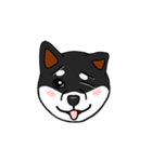 豆しば 柴犬（個別スタンプ：12）