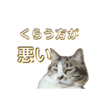 駄猫トマトの日常＆格ゲー会話スタンプ（個別スタンプ：29）