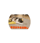 おいもとこうめのほのぼのスタンプ（個別スタンプ：10）