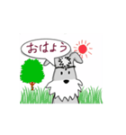 シュナウザー動画_02（個別スタンプ：4）