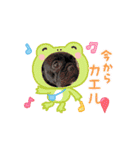 フレンチブルみかん（個別スタンプ：3）