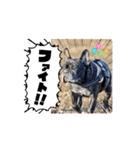 フレンチブルみかん（個別スタンプ：7）