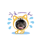 フレンチブルみかん（個別スタンプ：9）
