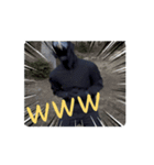 FPS男のLINEスタンプ・伍（個別スタンプ：4）