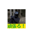 FPS男のLINEスタンプ・伍（個別スタンプ：5）