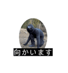 FPS男のLINEスタンプ・伍（個別スタンプ：10）