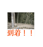 FPS男のLINEスタンプ・伍（個別スタンプ：13）