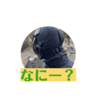 FPS男のLINEスタンプ・伍（個別スタンプ：14）