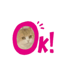 にゃにゃにゃの子（個別スタンプ：7）