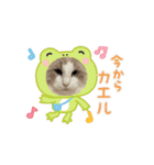 にゃにゃにゃの子（個別スタンプ：9）