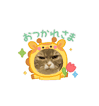 にゃにゃにゃの子（個別スタンプ：10）