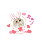 にゃにゃにゃの子（個別スタンプ：11）