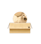 にゃにゃにゃの子（個別スタンプ：16）