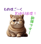 ぶちゃかわ！エキゾチックショートヘア（個別スタンプ：7）