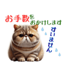 ぶちゃかわ！エキゾチックショートヘア（個別スタンプ：9）