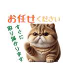 ぶちゃかわ！エキゾチックショートヘア（個別スタンプ：10）