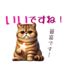 ぶちゃかわ！エキゾチックショートヘア（個別スタンプ：18）