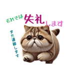 ぶちゃかわ！エキゾチックショートヘア（個別スタンプ：36）