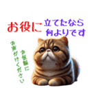 ぶちゃかわ！エキゾチックショートヘア（個別スタンプ：39）