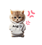 子猫の日常スタンプ（英語ver.）（個別スタンプ：13）