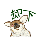動物さんシリーズ・伝えるってよろこび（個別スタンプ：11）