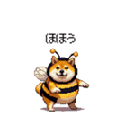ハチさん太っちょ柴犬 花粉キツめ（個別スタンプ：3）