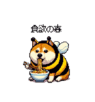 ハチさん太っちょ柴犬 花粉キツめ（個別スタンプ：6）