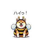 ハチさん太っちょ柴犬 花粉キツめ（個別スタンプ：14）
