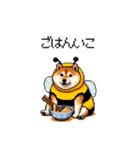 ハチさん太っちょ柴犬 花粉キツめ（個別スタンプ：29）