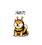 ハチさん太っちょ柴犬 花粉キツめ（個別スタンプ：30）