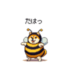 ハチさん太っちょ柴犬 花粉キツめ（個別スタンプ：31）