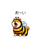 ハチさん太っちょ柴犬 花粉キツめ（個別スタンプ：35）