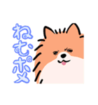 さよならポメラニアン2（個別スタンプ：15）