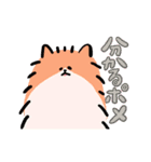 さよならポメラニアン2（個別スタンプ：16）
