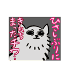 さよならポメラニアン2（個別スタンプ：18）