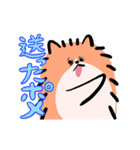 さよならポメラニアン2（個別スタンプ：22）