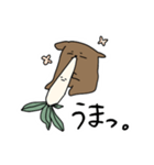カピとコン2（個別スタンプ：10）