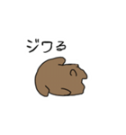 カピとコン2（個別スタンプ：21）