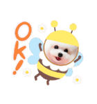 大人女子の了解・OK・やんわり断るスタンプ（個別スタンプ：17）