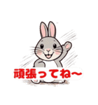 うさぎちゃん挨拶スタンプ（個別スタンプ：38）
