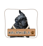 個人用ウメちゃんスタンプ（個別スタンプ：12）