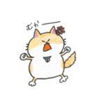 猫のぷみちゃんと仲間たち（個別スタンプ：17）