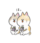 猫のぷみちゃんと仲間たち（個別スタンプ：19）