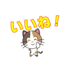 三毛猫「ナナシ」のスタンプ（個別スタンプ：3）