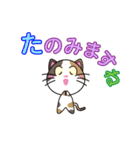 三毛猫「ナナシ」のスタンプ（個別スタンプ：13）