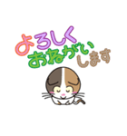 三毛猫「ナナシ」のスタンプ（個別スタンプ：20）