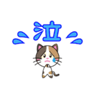 三毛猫「ナナシ」のスタンプ（個別スタンプ：22）